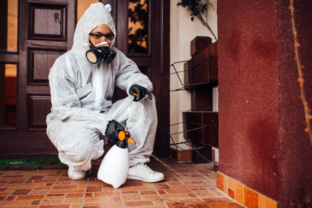 Reliable Bed Bug Control contractor in Kingsport, TN by Nex Pest Control